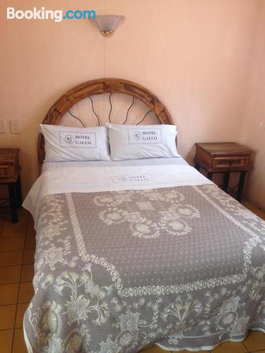 Hotel Gallo Rubio
