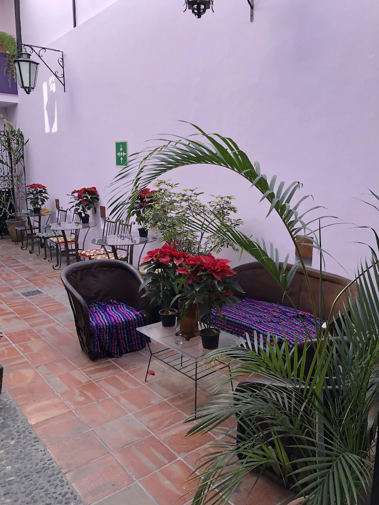 Olga Querida Hostal
