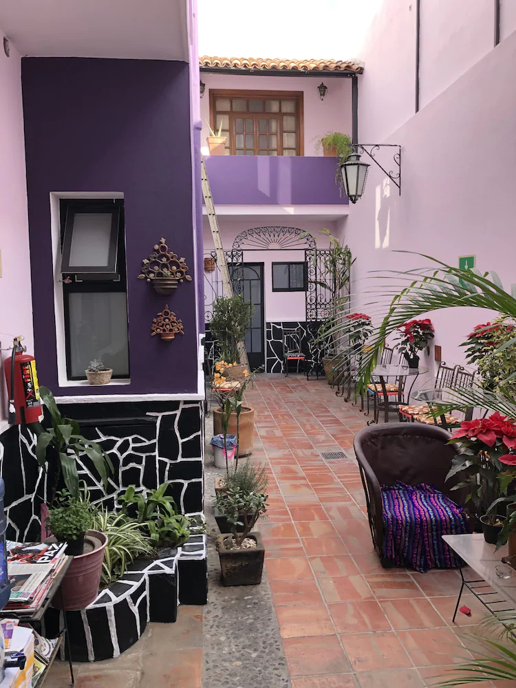 Olga Querida Hostal