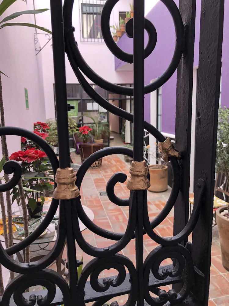 Olga Querida Hostal