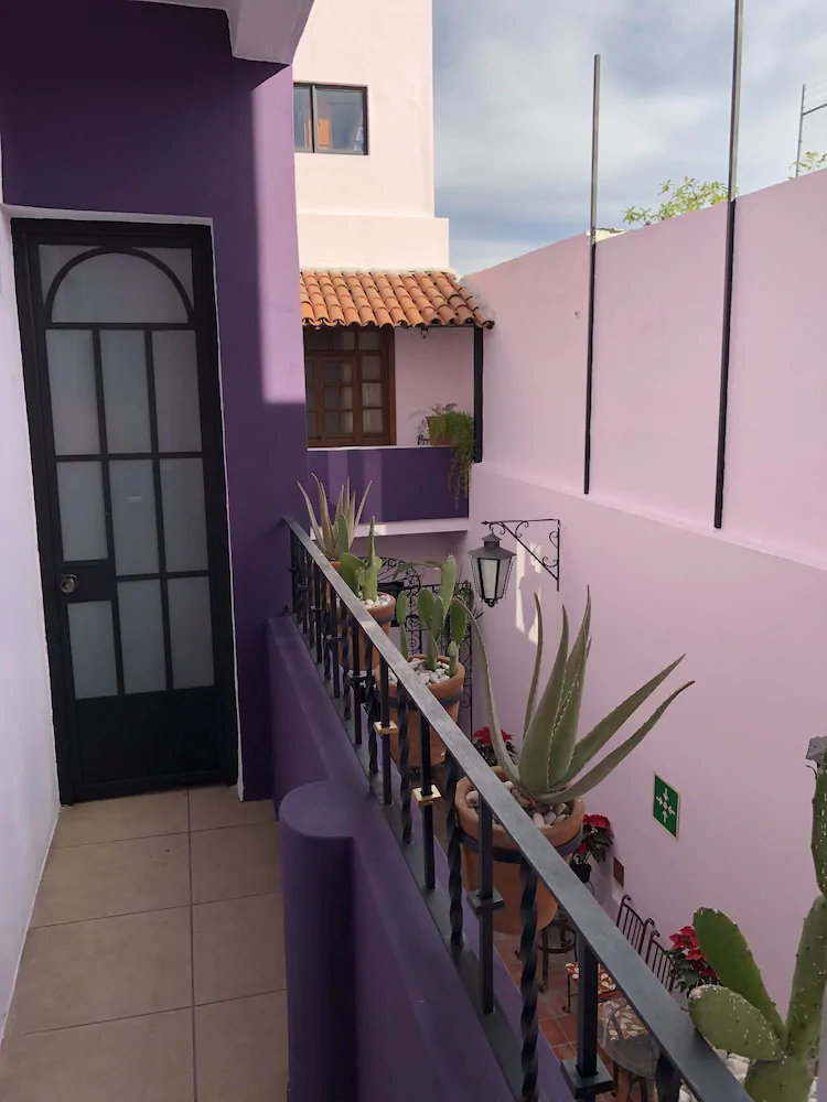 Olga Querida Hostal