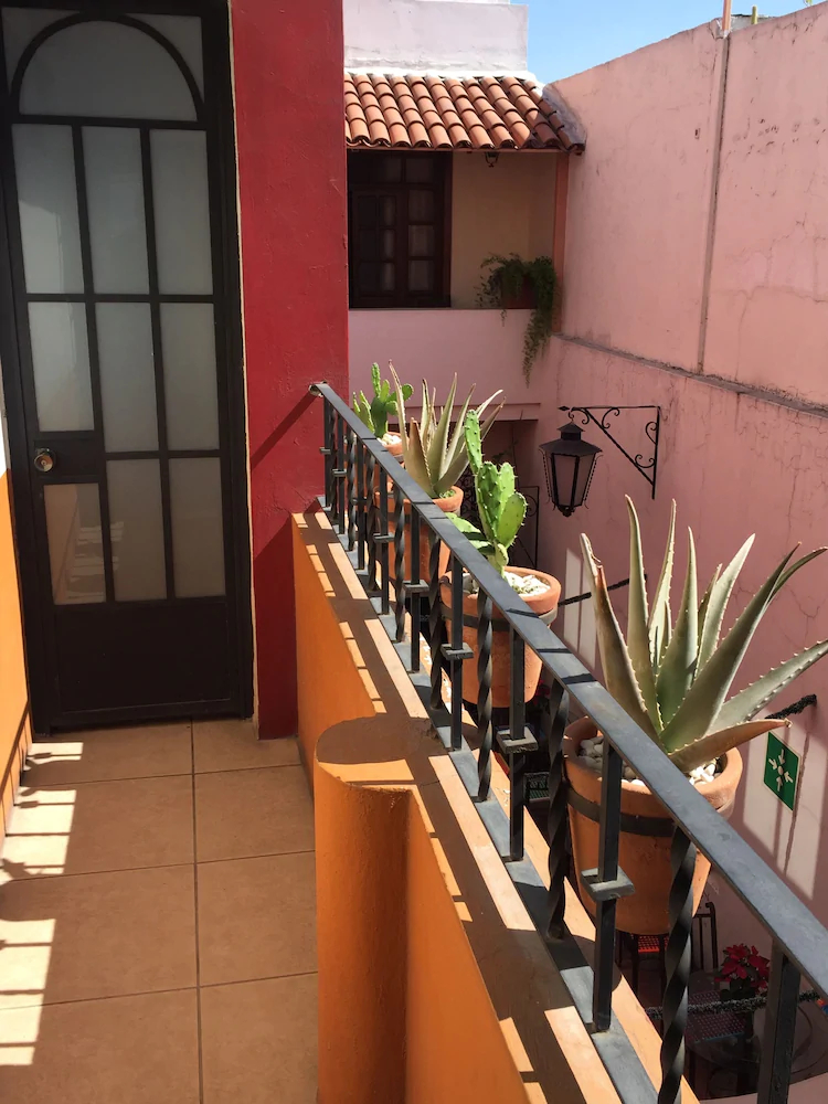 Olga Querida Hostal