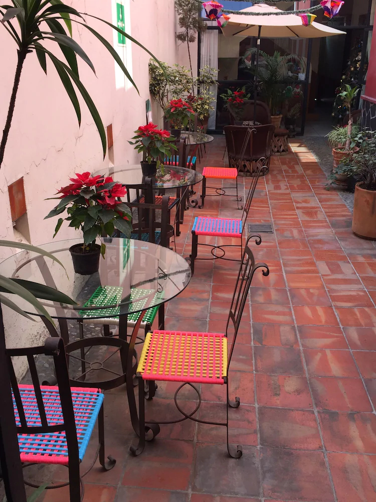 Olga Querida Hostal