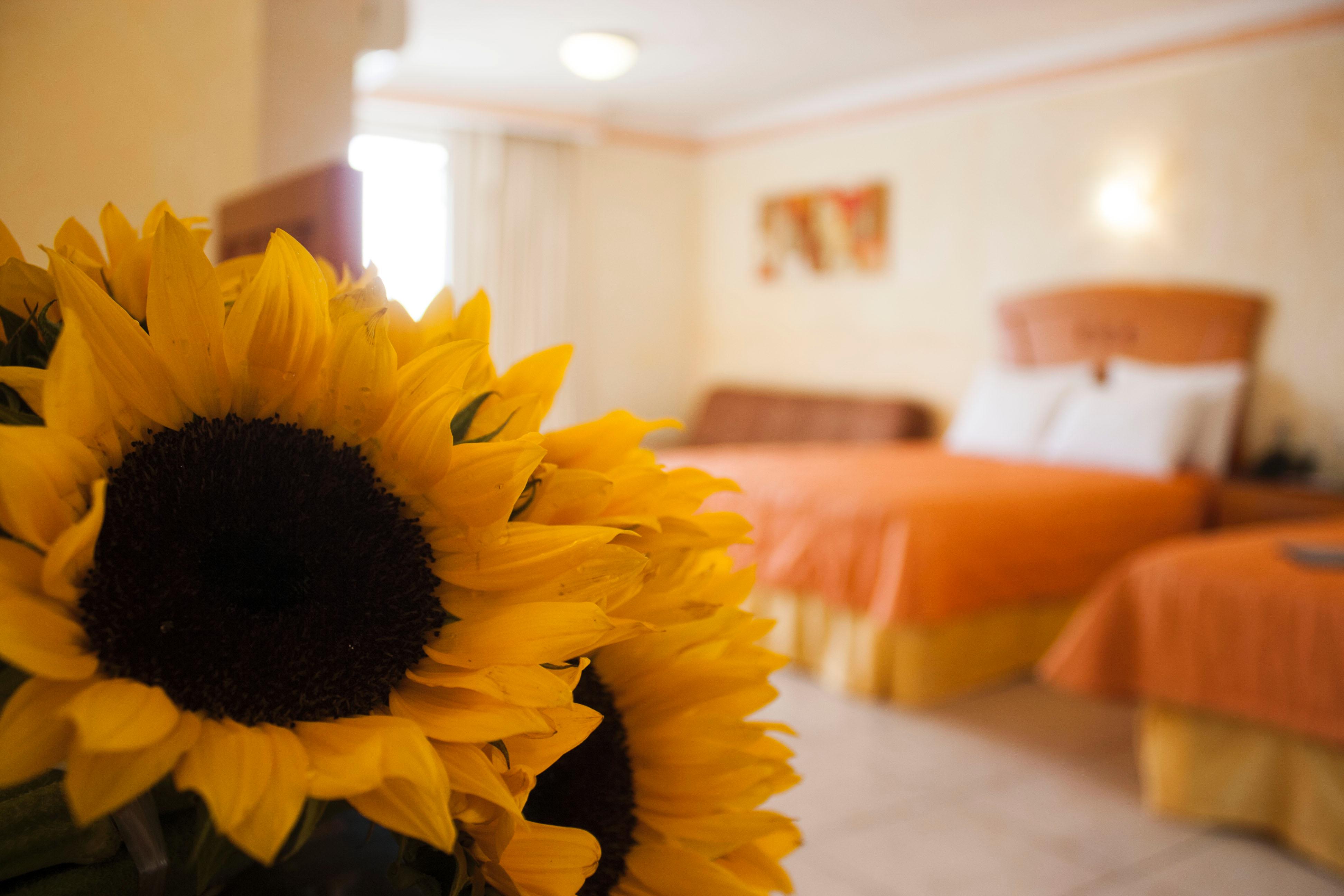 Hotel Puerta del Sol