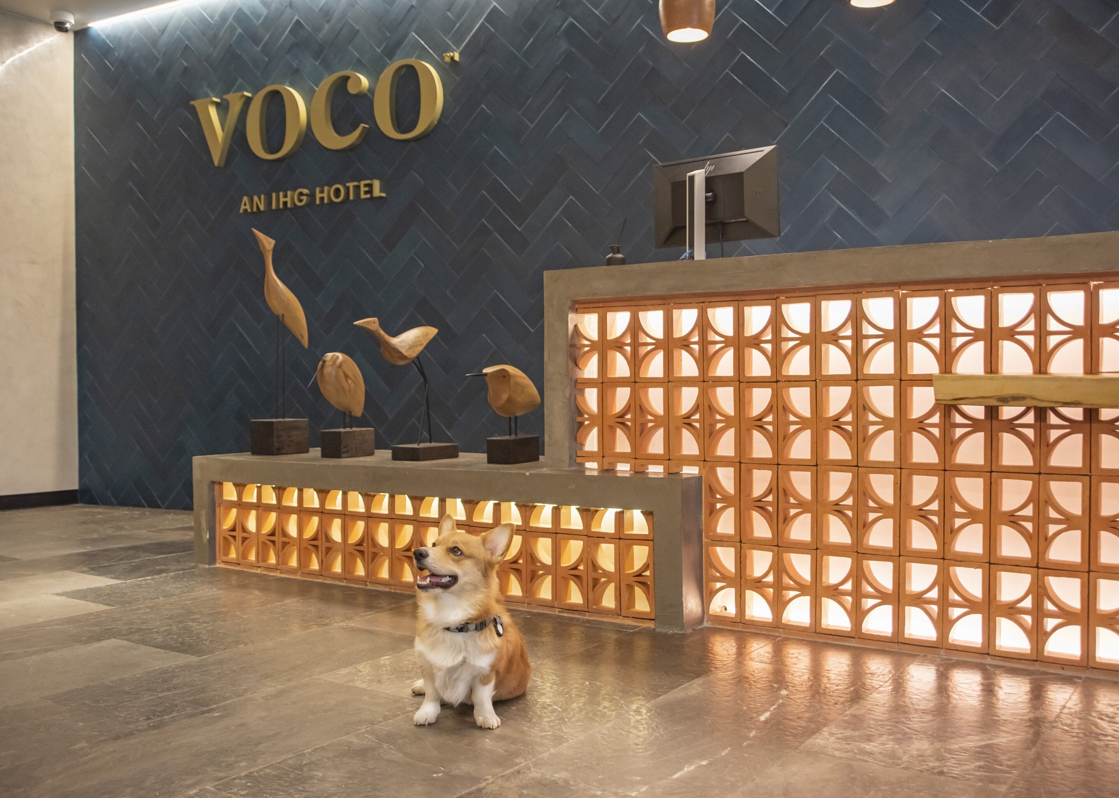 voco Guadalajara Neruda