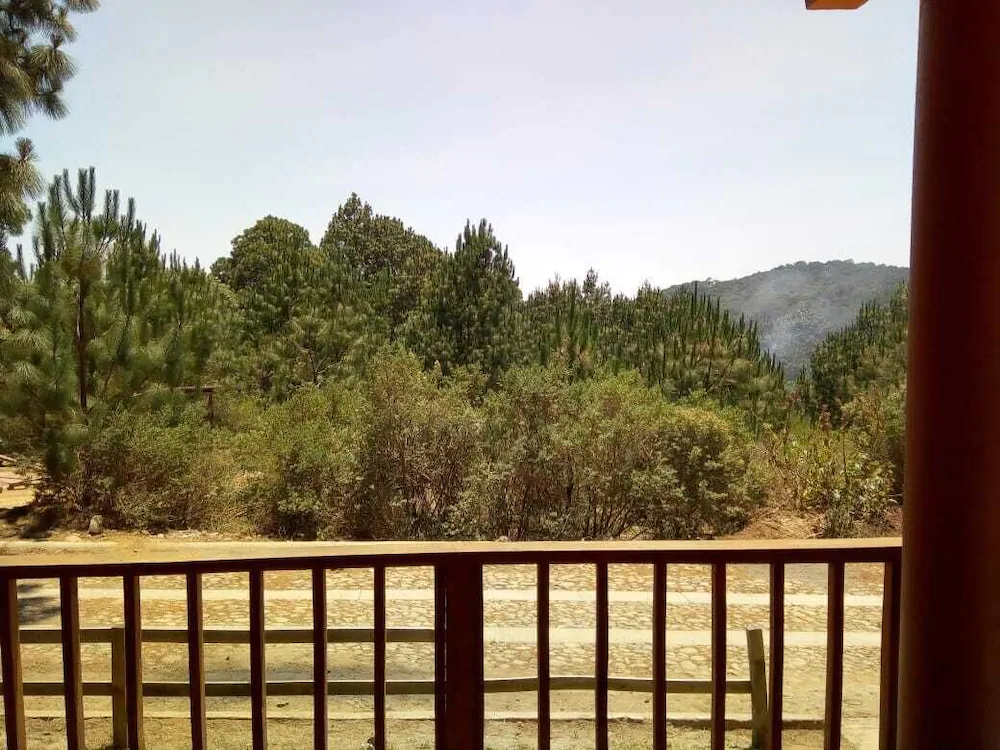 Cabanas Del Bosque