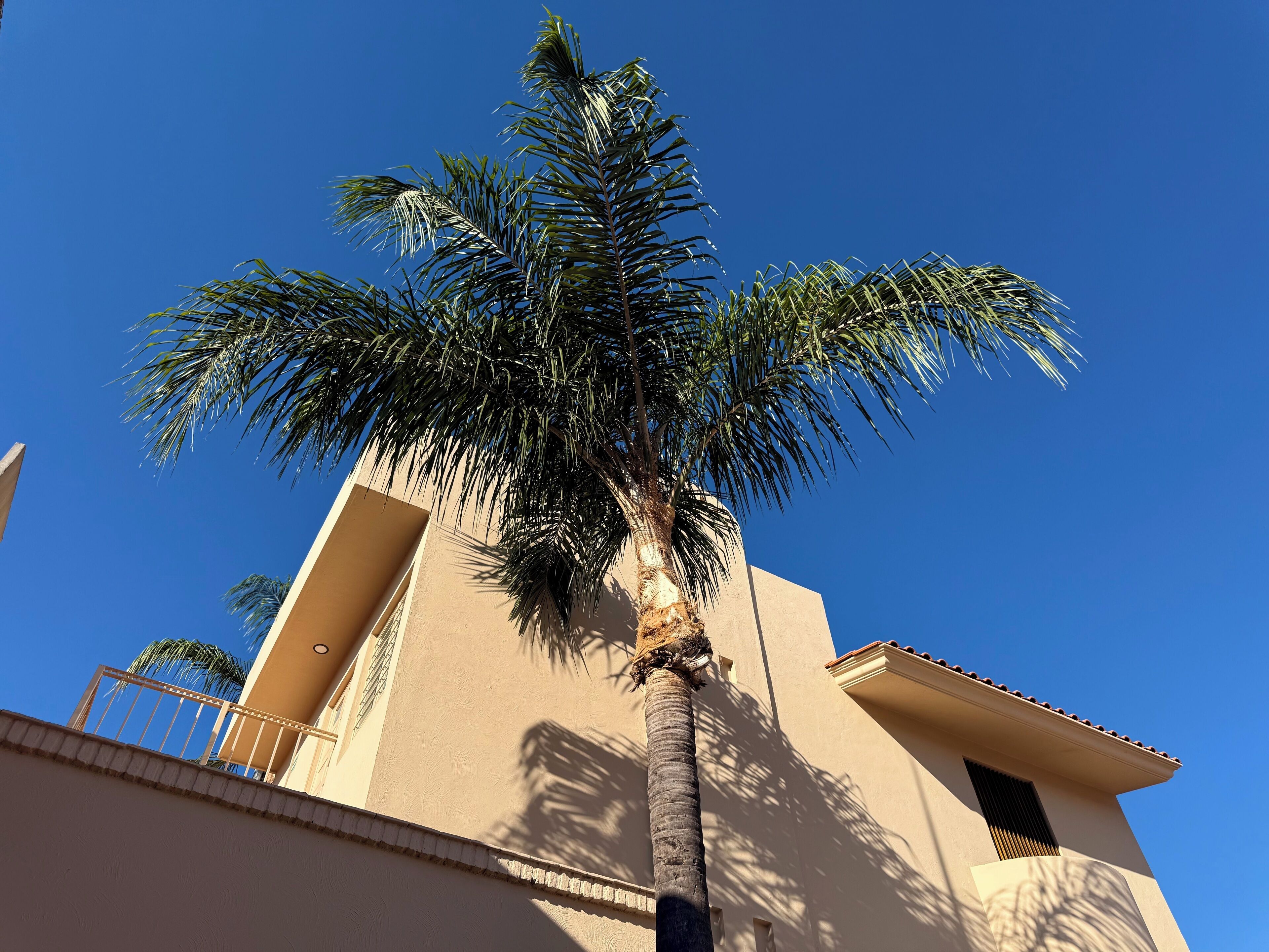 Villa La Palma Hotel