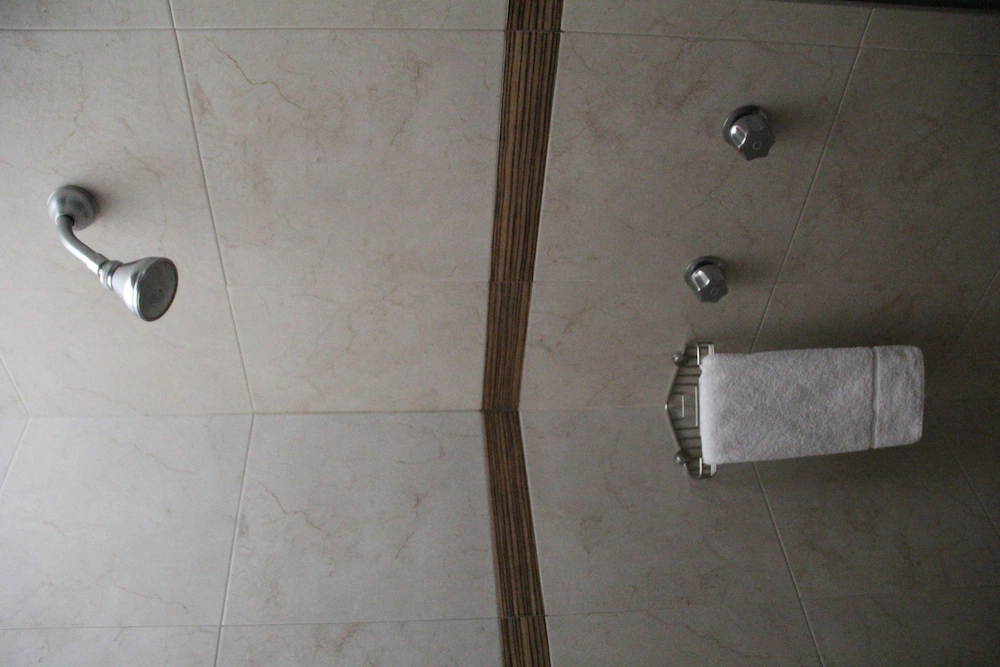 Hotel Real Zapopan
