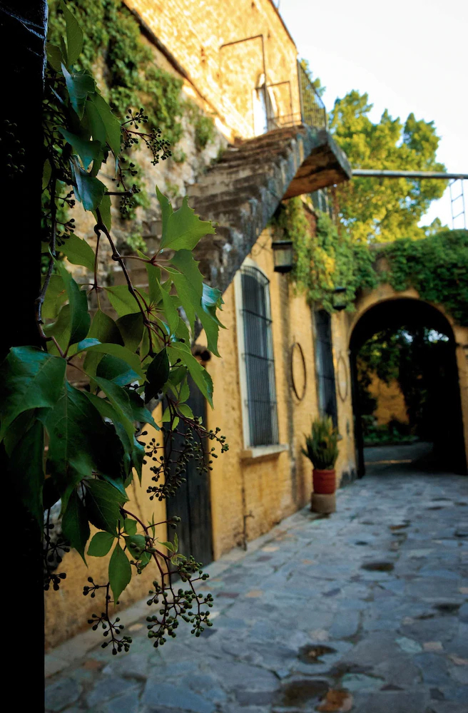 Hacienda El Carmen Hotel & Spa