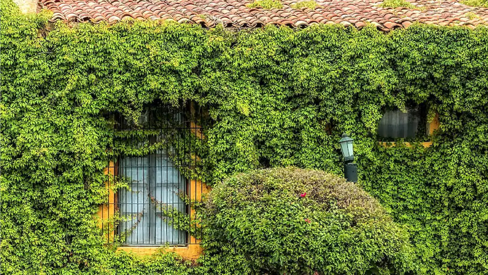 Hacienda El Carmen Hotel & Spa