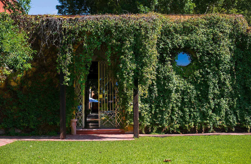 Hacienda El Carmen Hotel & Spa