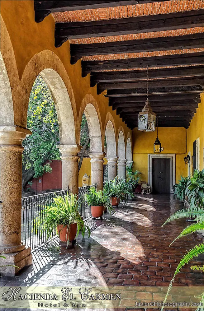 Hacienda El Carmen Hotel & Spa
