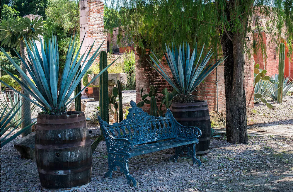 Hacienda El Carmen Hotel & Spa