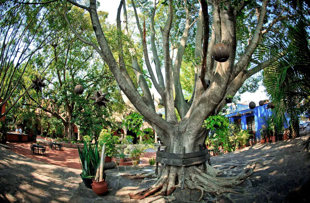Hacienda El Carmen Hotel & Spa