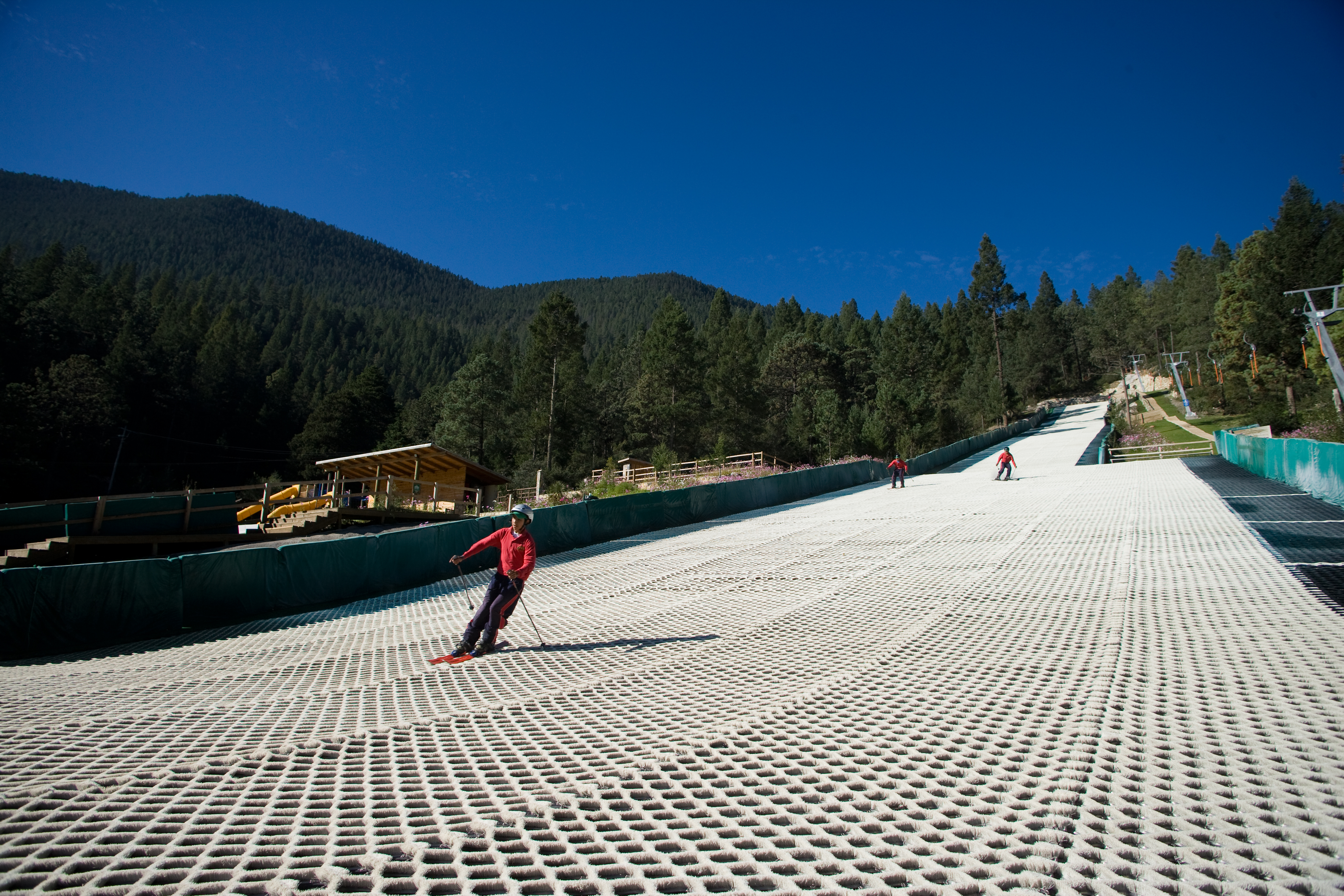 Bosques De Monterreal
