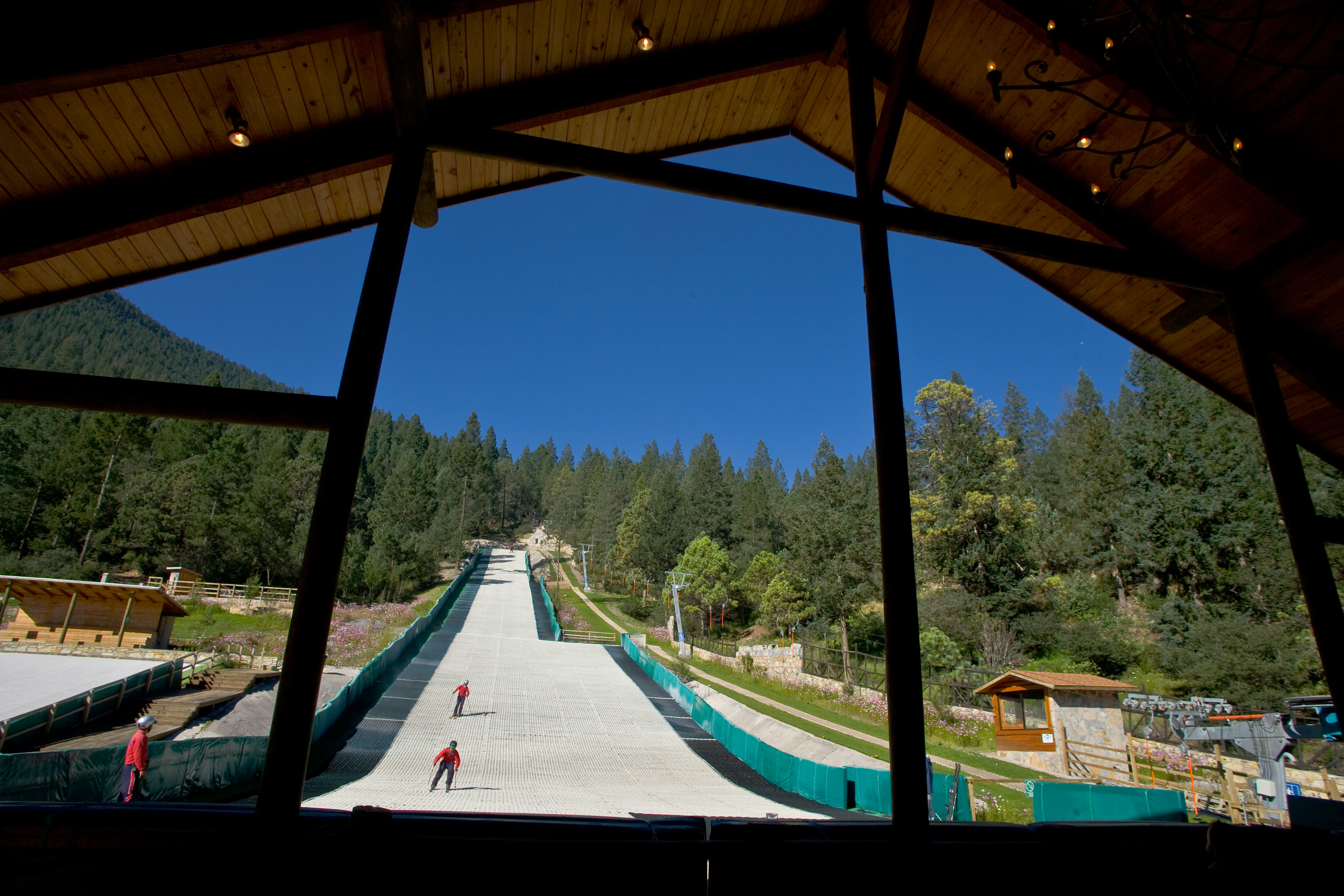 Bosques De Monterreal