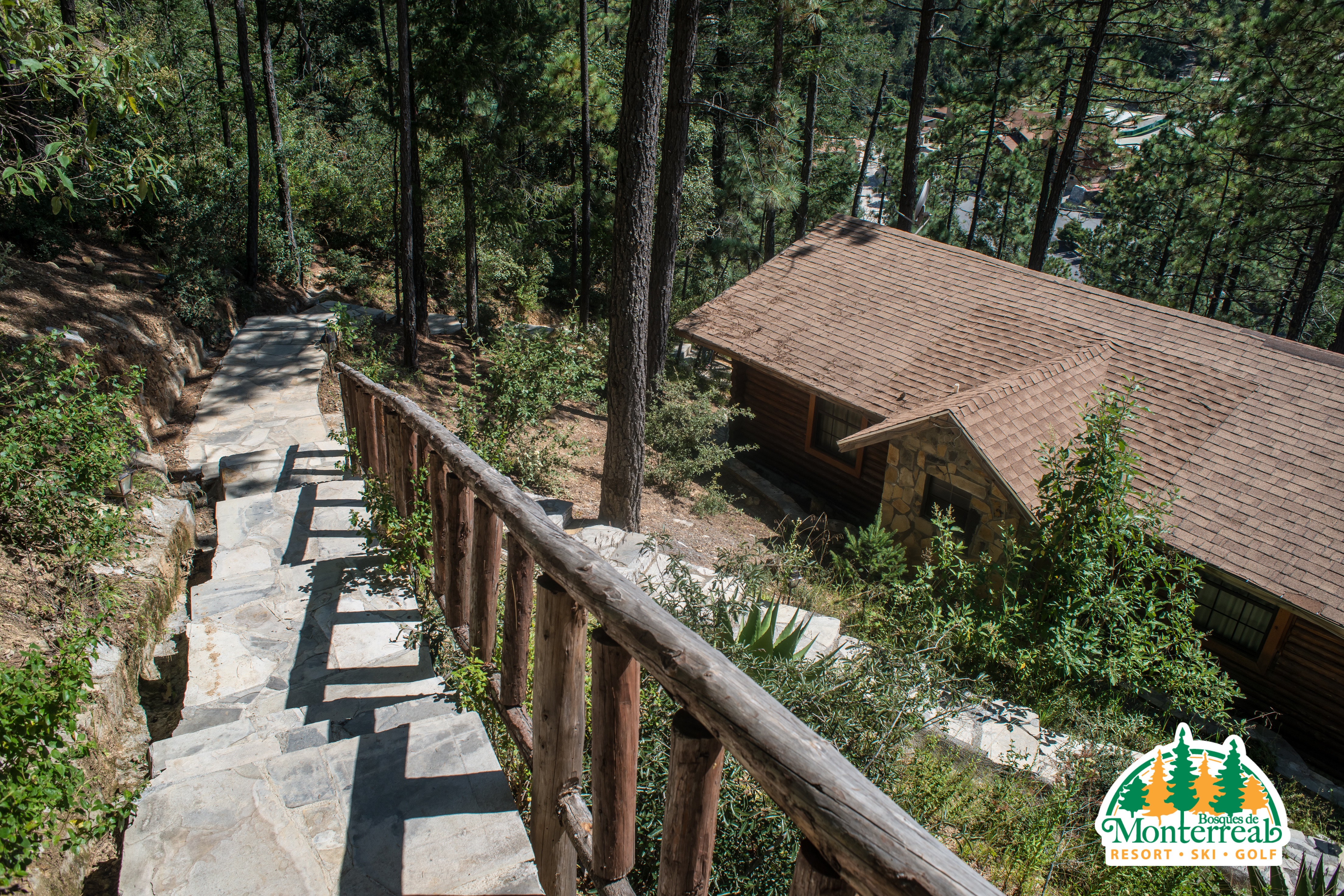 Bosques De Monterreal