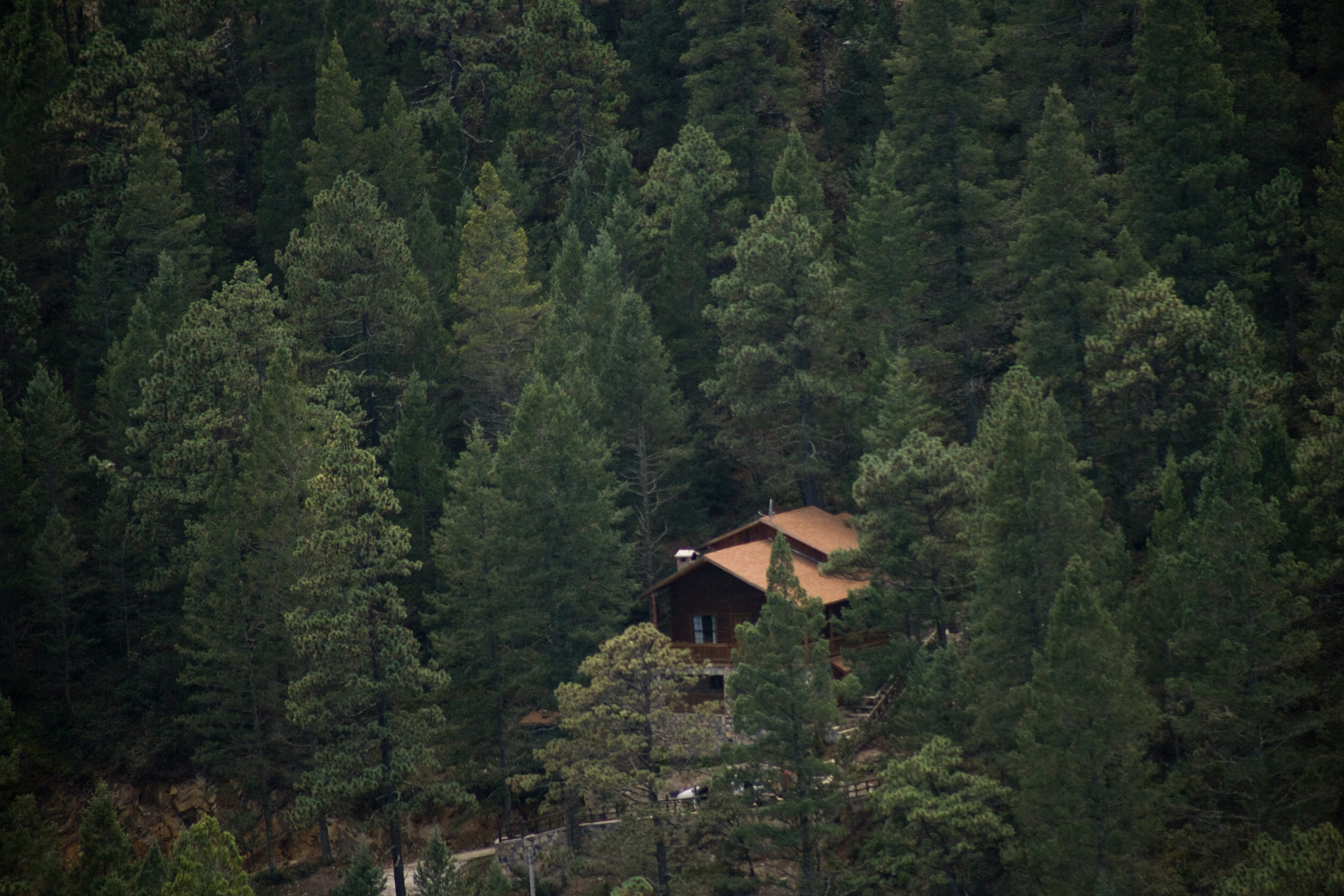 Bosques De Monterreal