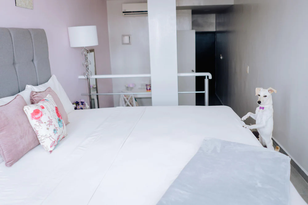 Hotel Venedik