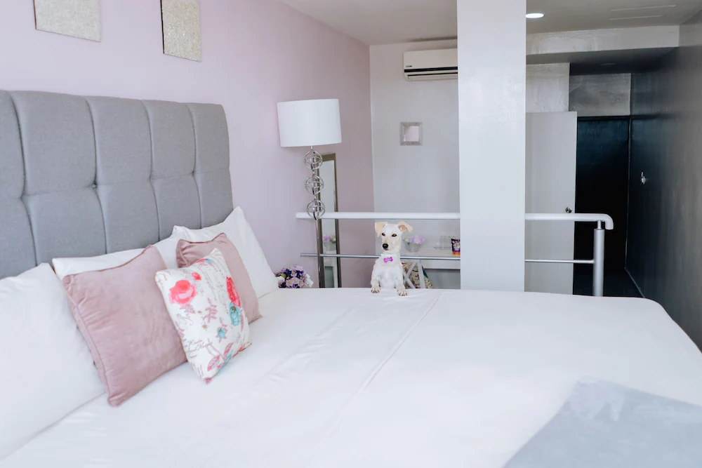 Hotel Venedik