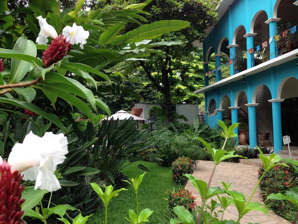 La Ceiba Chiapa de Corzo