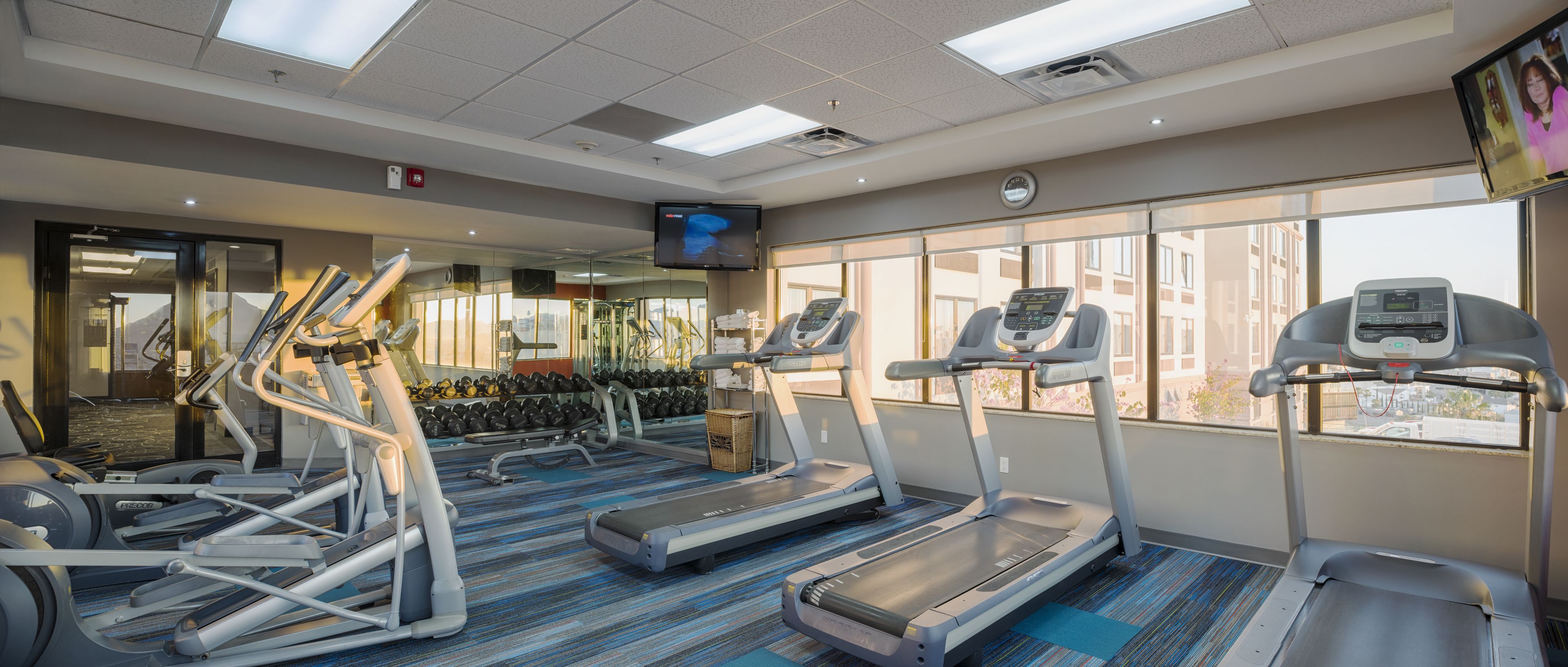 Wingate by Wyndham Chihuahua