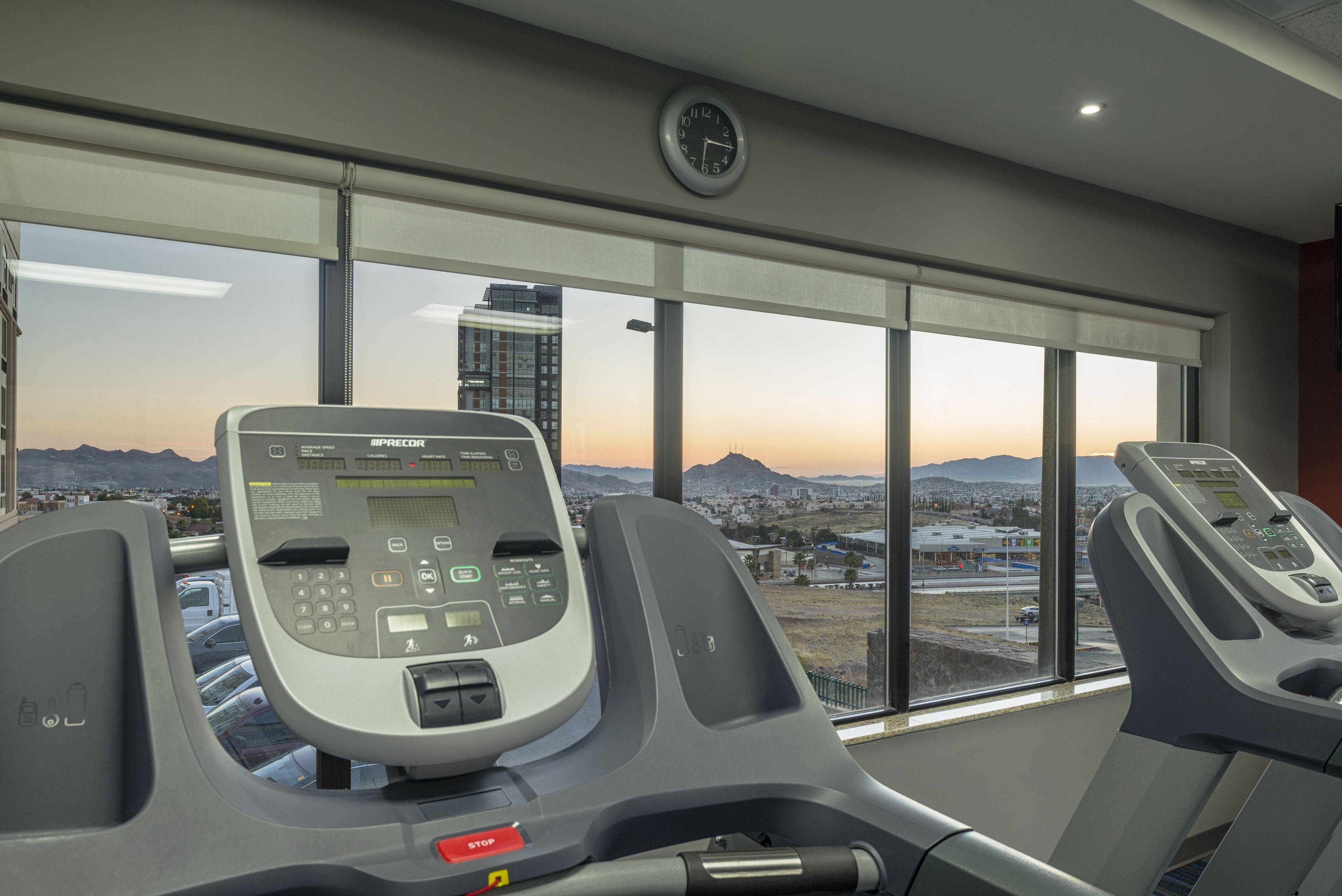 Wingate by Wyndham Chihuahua