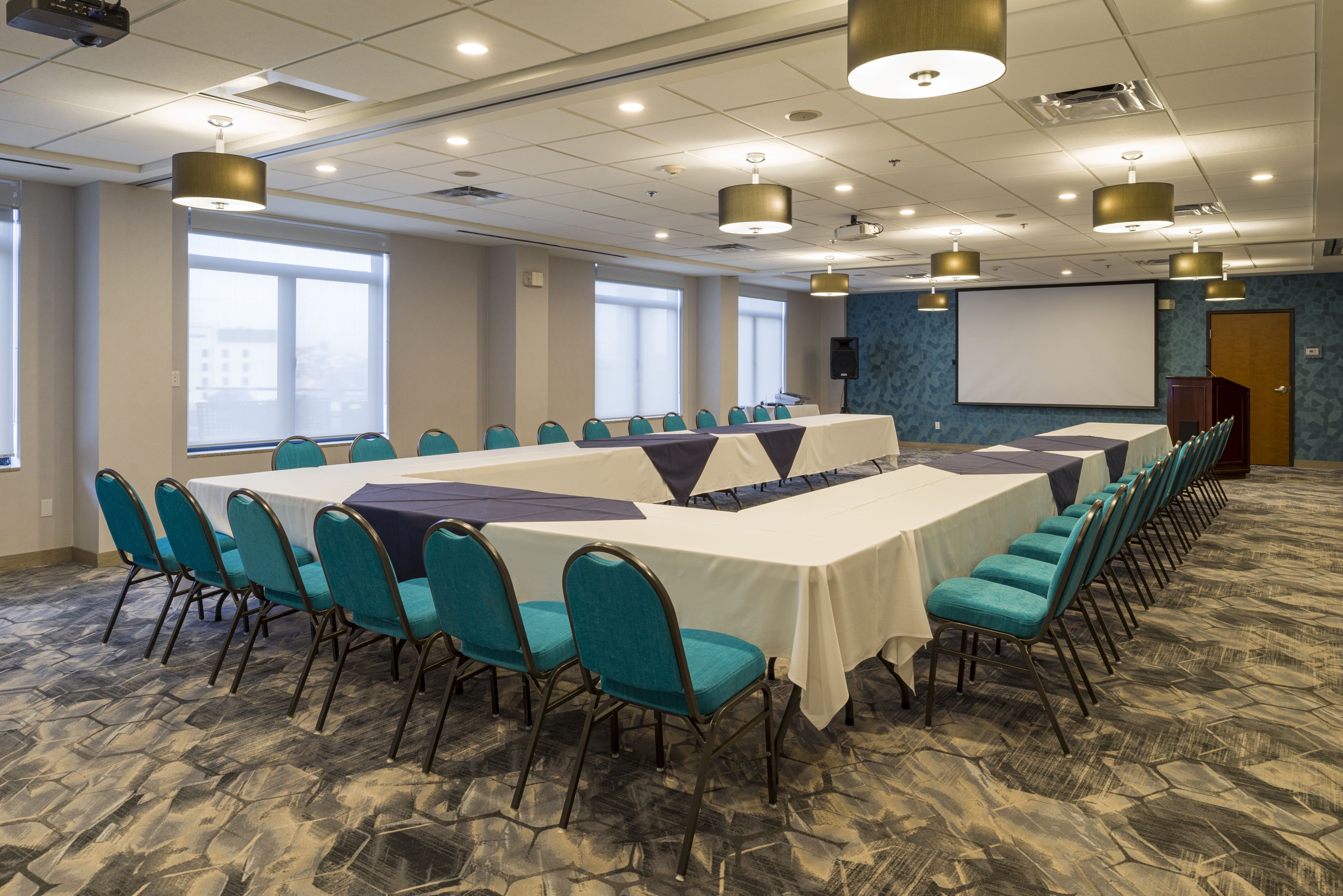 Wingate by Wyndham Chihuahua