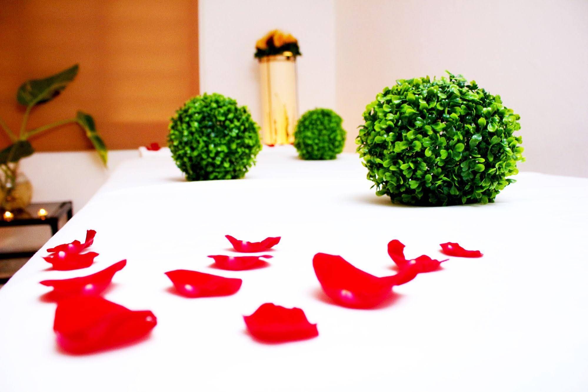 Hotel SPA Taninul