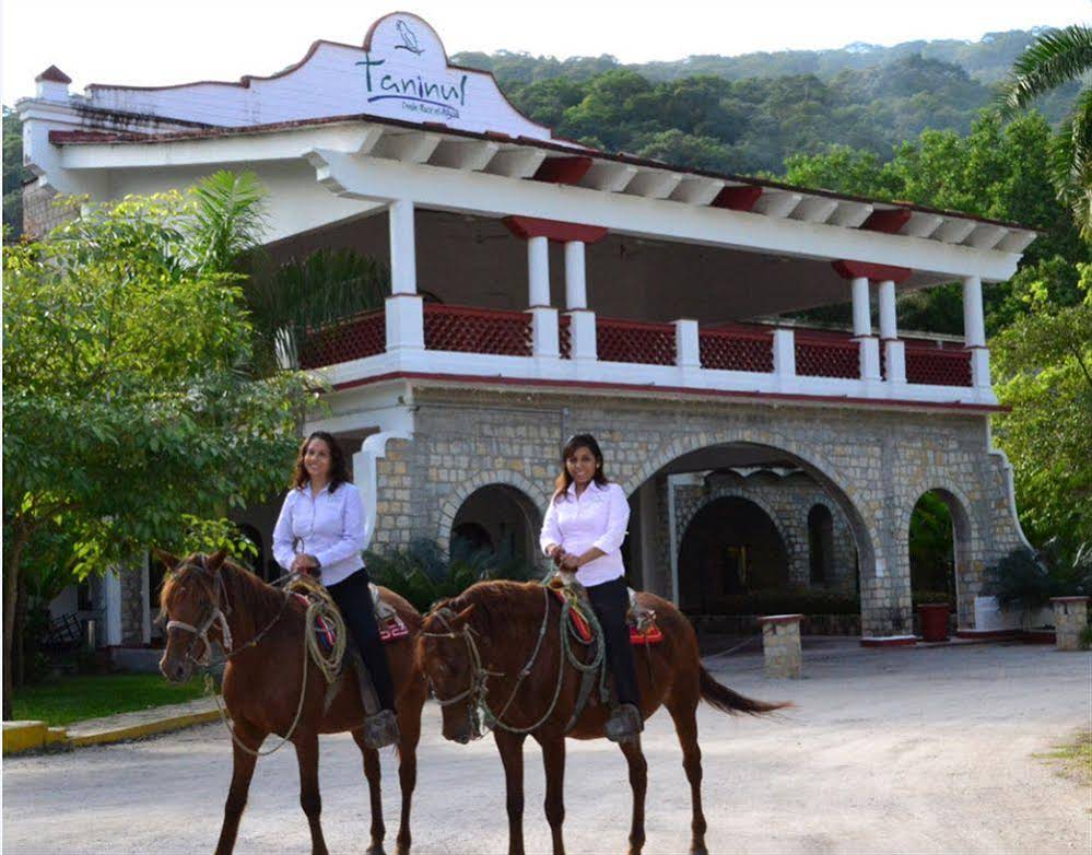 Hotel SPA Taninul