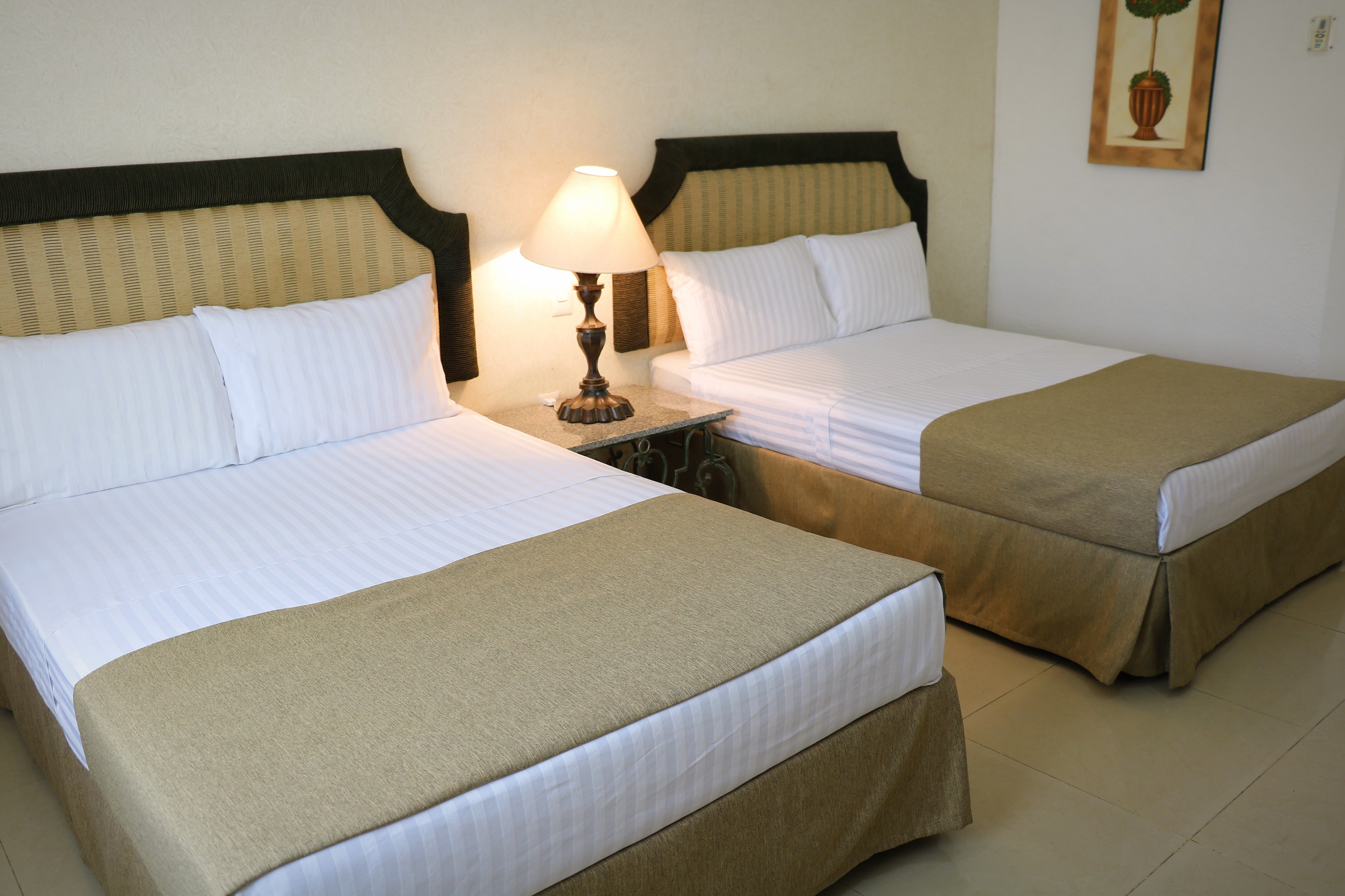 Hotel Zar Colima