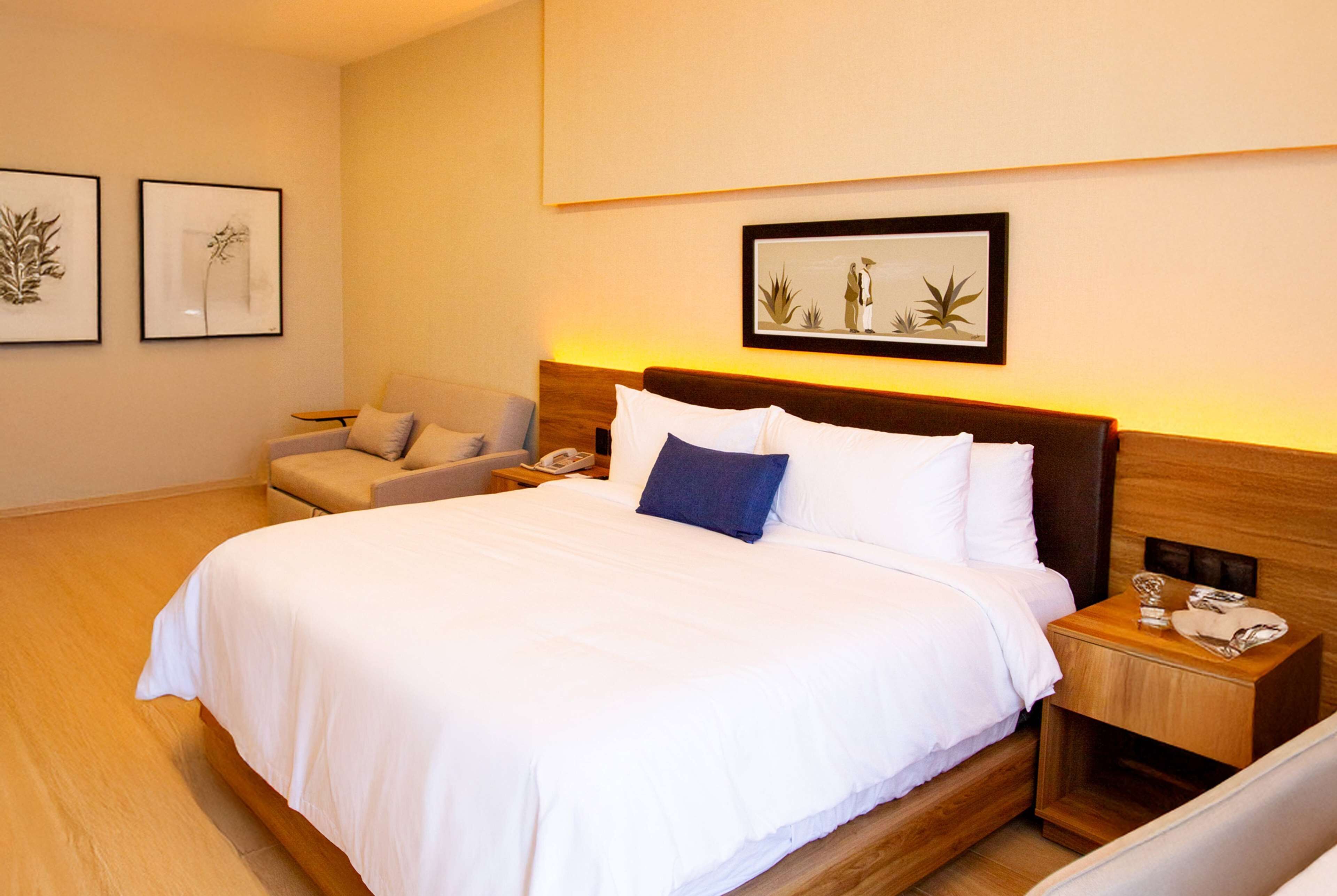 TRYP By Wyndham Ciudad Guzmán UTTSA