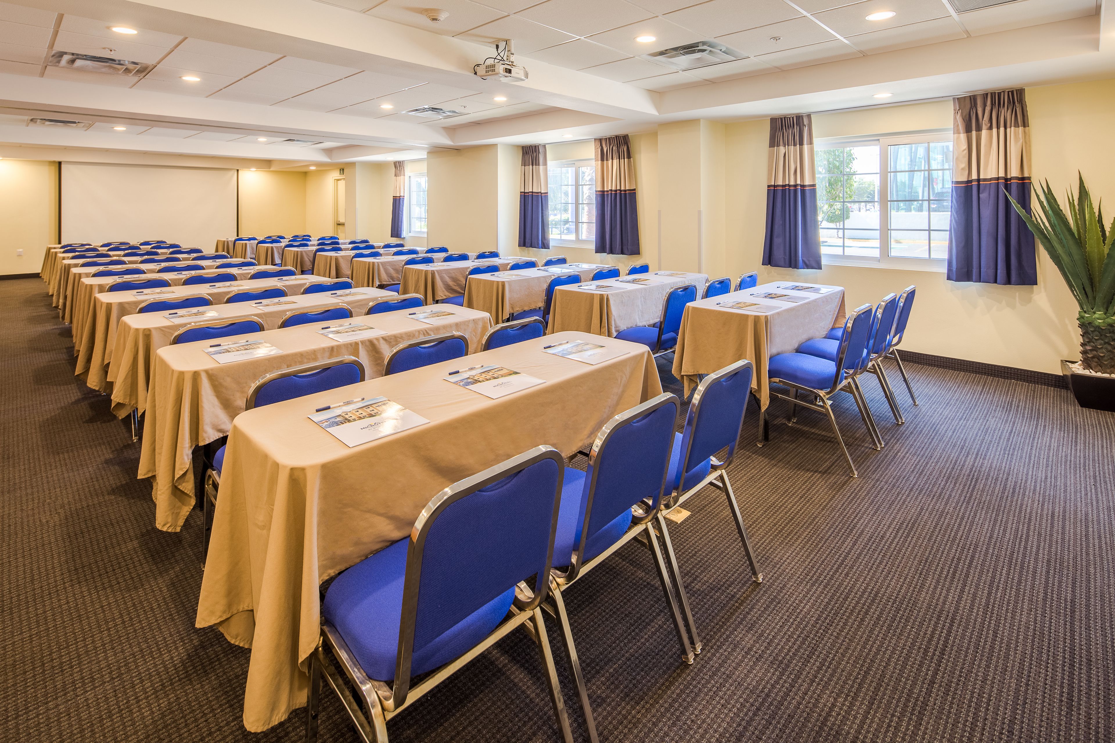 Microtel Inn & Suites by Wyndham Culiacan