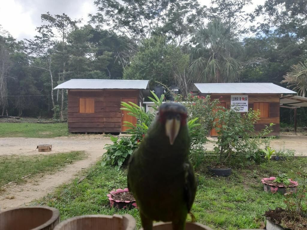 Cabana Luna Roja