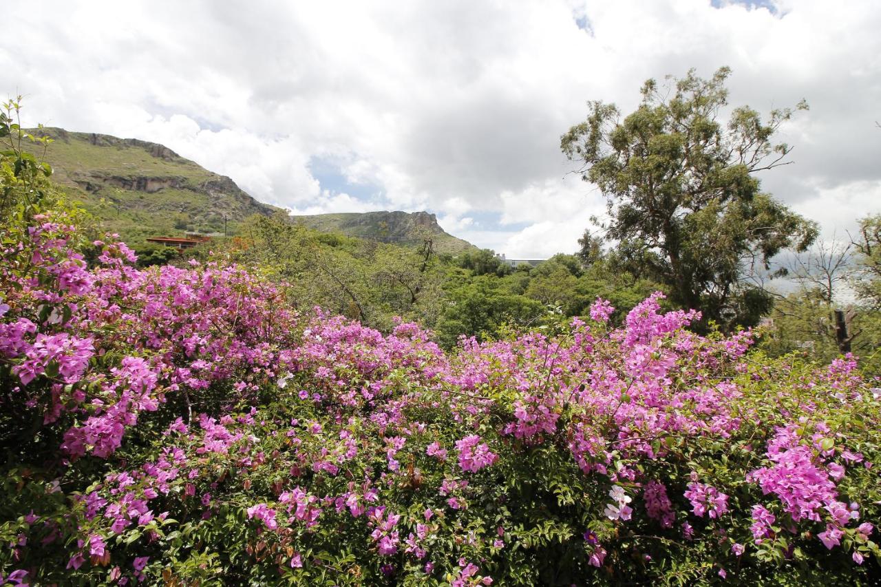 Quinta Las Acacia