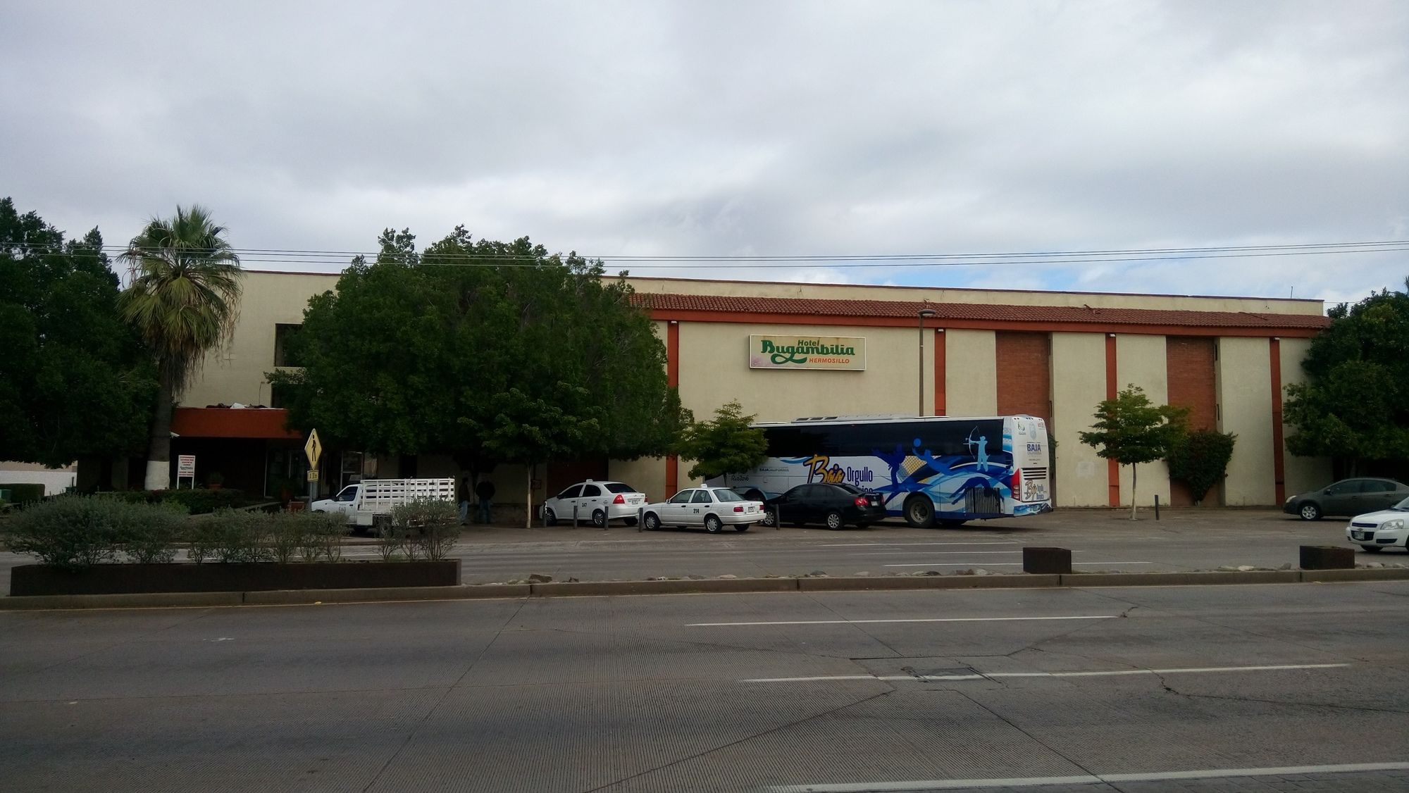 Bugambilia Hermosillo