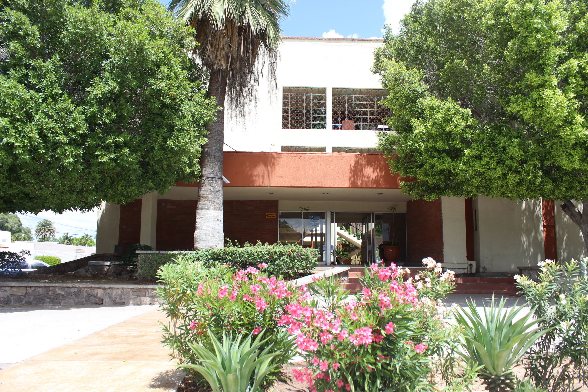 Bugambilia Hermosillo