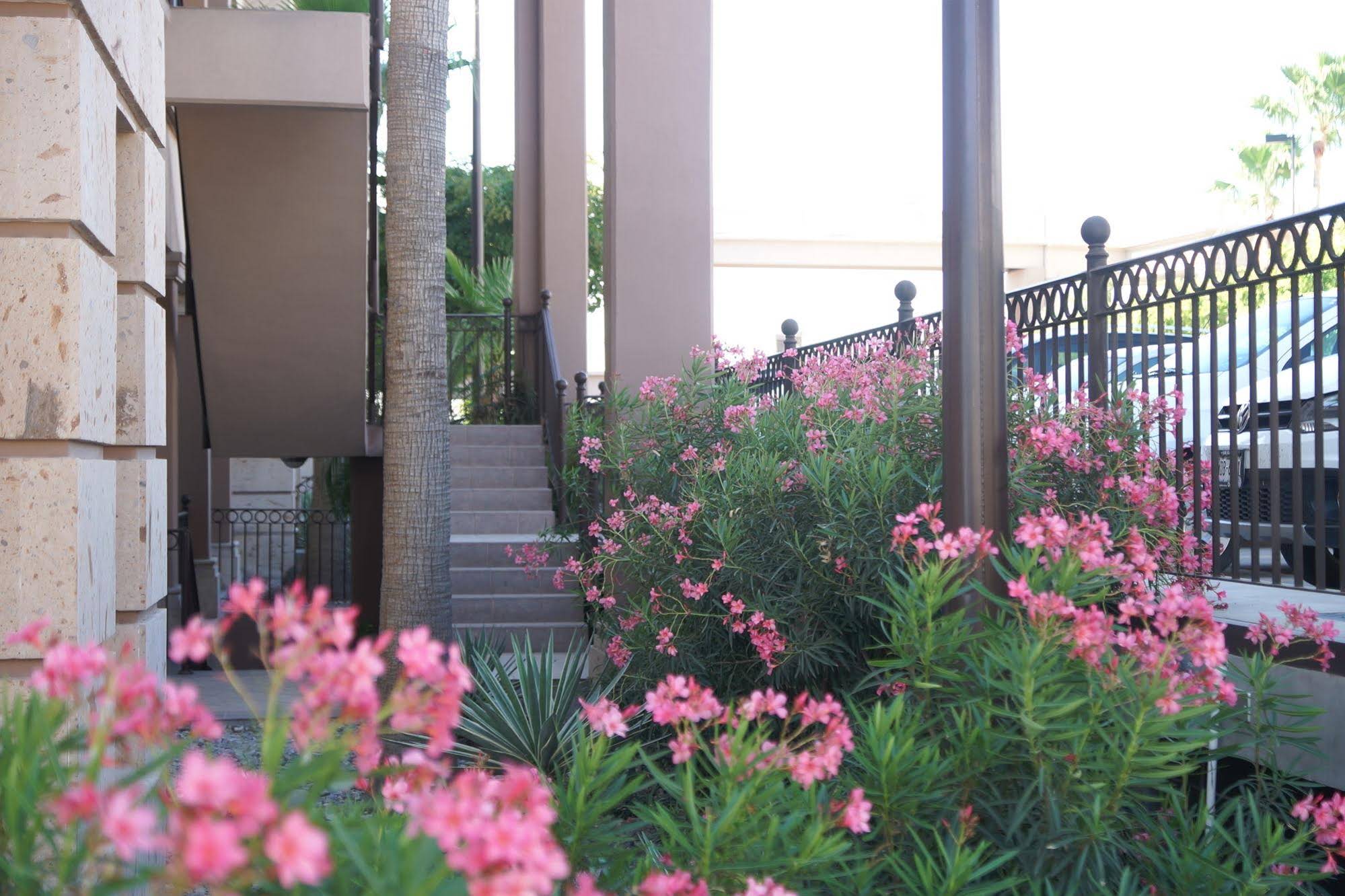 Hotel Royal Palace