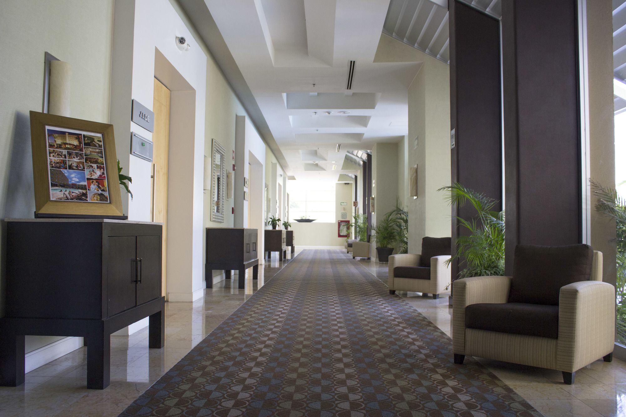 Lucerna Hermosillo