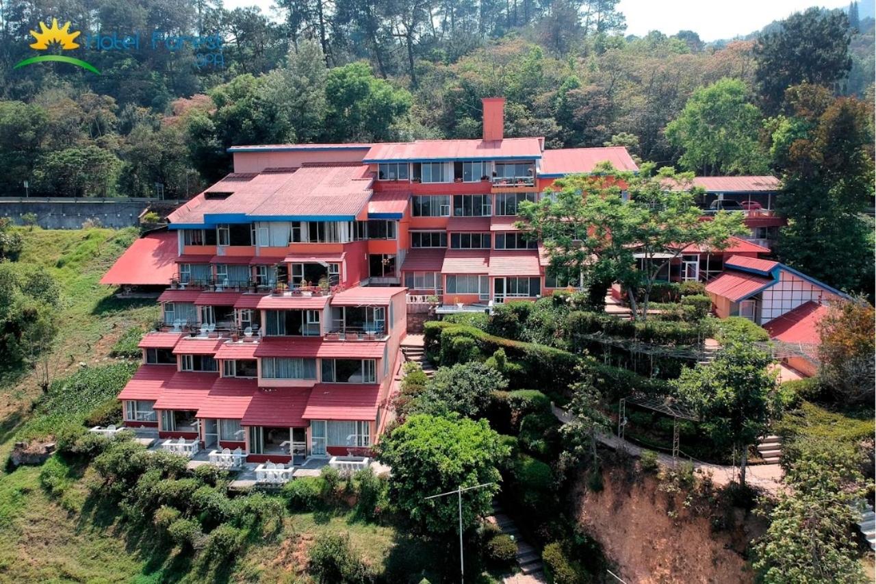 Hotel Forest