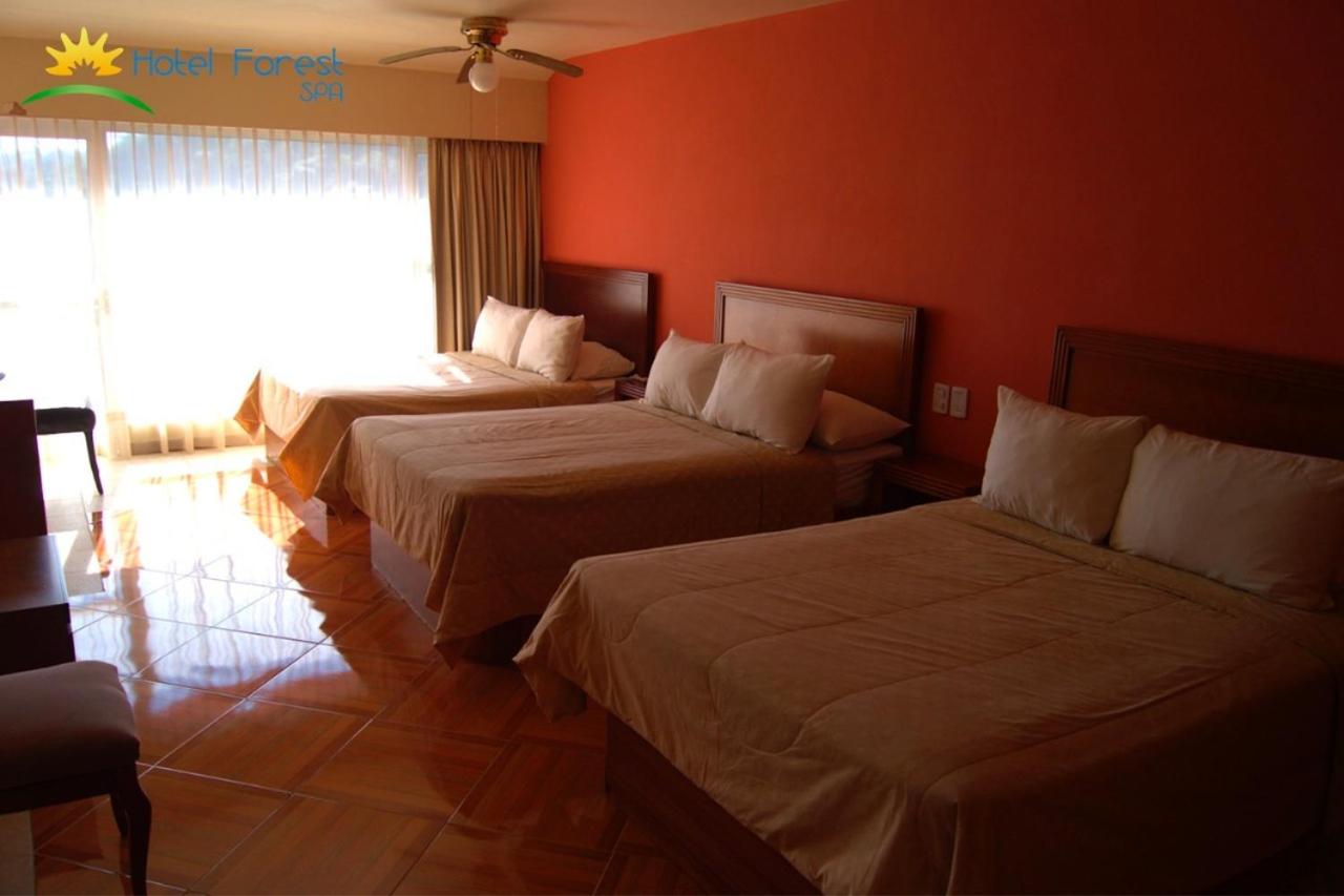 Hotel Forest