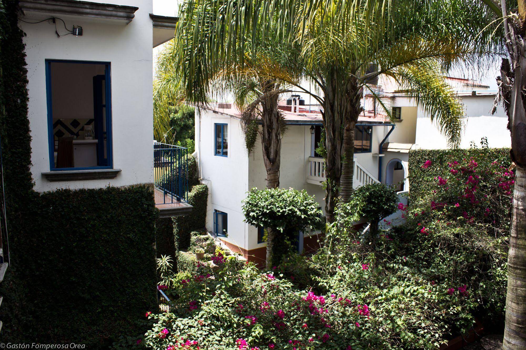 Posada Del Cafeto
