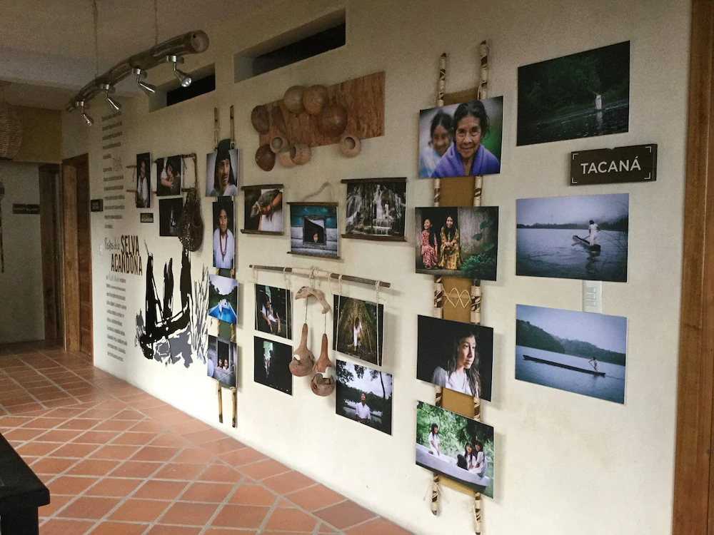 Tres Lagunas Selva Lacandona