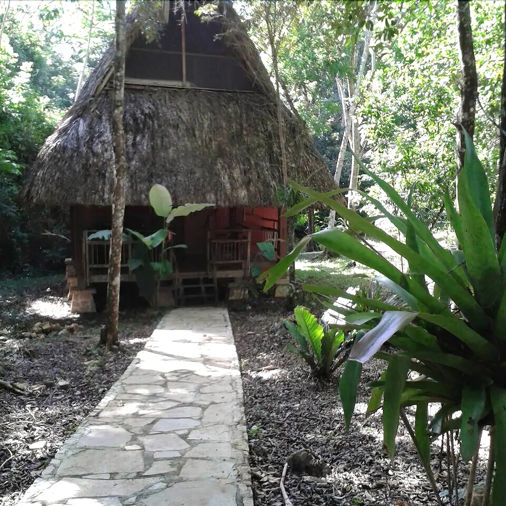 Tres Lagunas Selva Lacandona