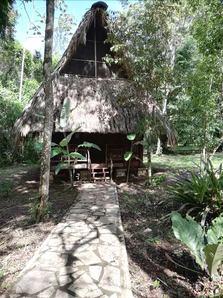 Tres Lagunas Selva Lacandona