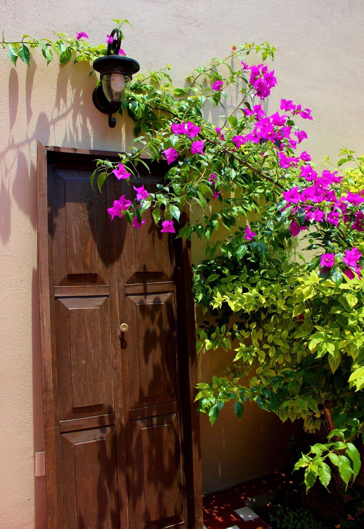 Entre Patios Hotel Boutique