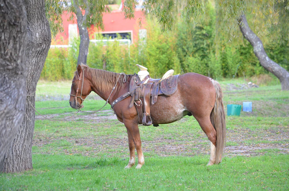 Hotel Vergel De La Sierra