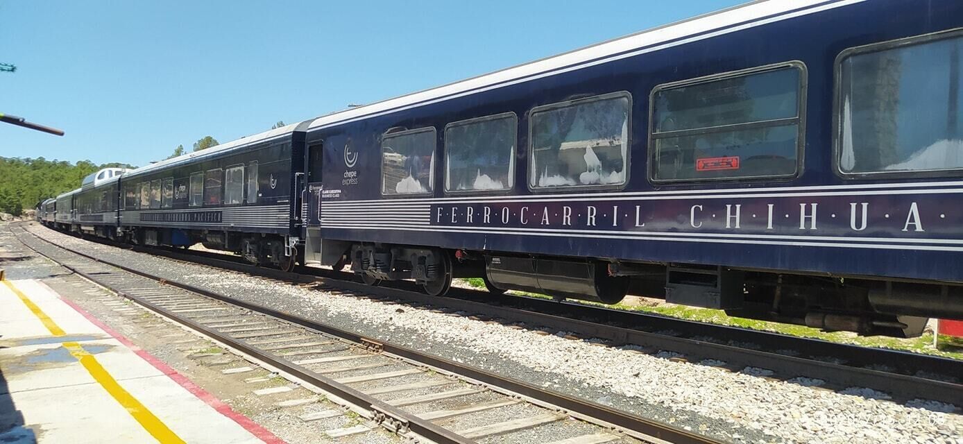 Hakal Mi Lindo Chihuahua