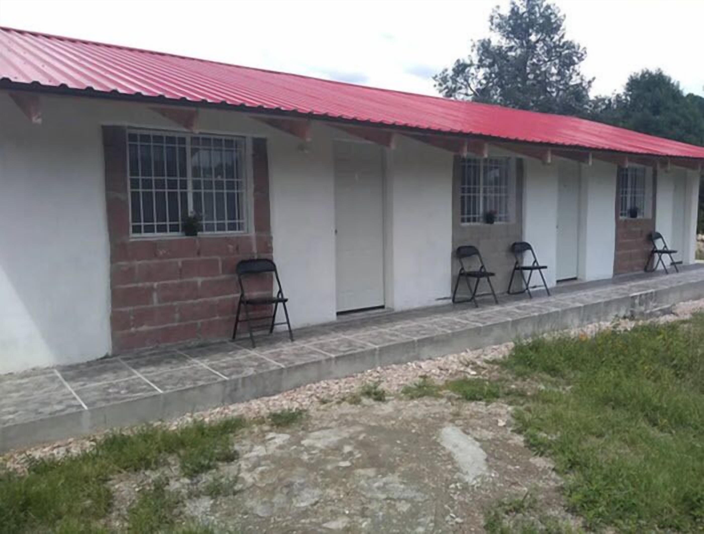 Hakal Mi Lindo Chihuahua