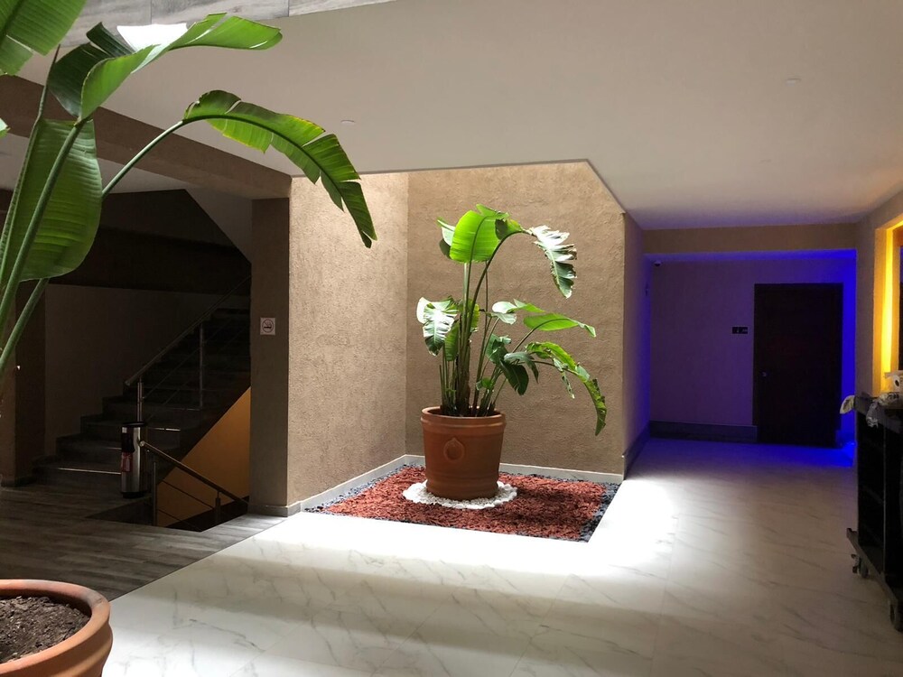 Hotel Plaza Arteaga